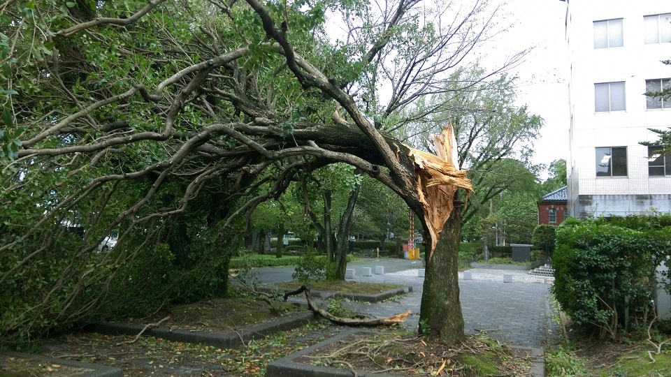 台風でアンテナが倒れた 映っていても放置は危険 自分で直すはもっと危険 テレビアンテナｓｏｓ